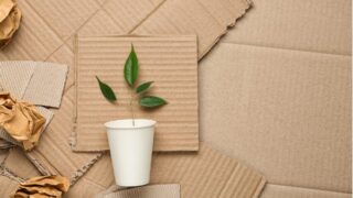 3-idee-di-packaging-ecosostenibile-600x350